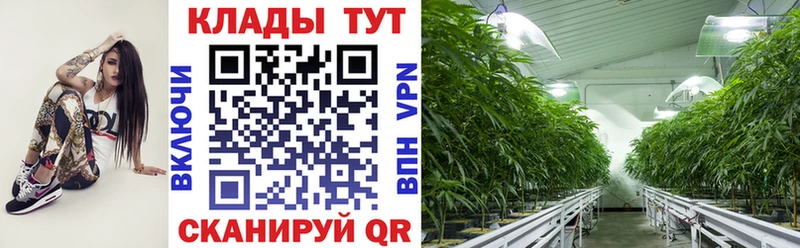 Купить Каннабис  МЕФ  ГАШИШ  Калининец